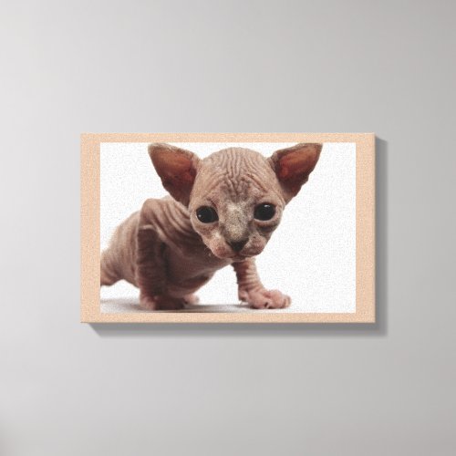 Freaky Cute Furless Sphynx Kitten Canvas Print