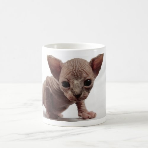 Freaky Cute Furless Sphynx Kitten Coffee Mug