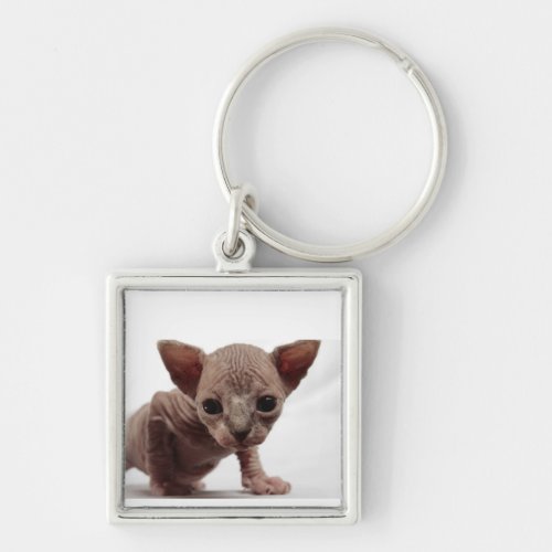 Freaky Cute Furless Sphynx Kitten Keychain