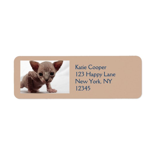 Freaky Cute Furless Sphynx Kitten Label (Front)