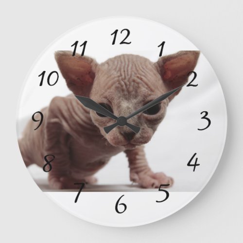 Freaky Cute Furless Sphynx Kitten Large Clock