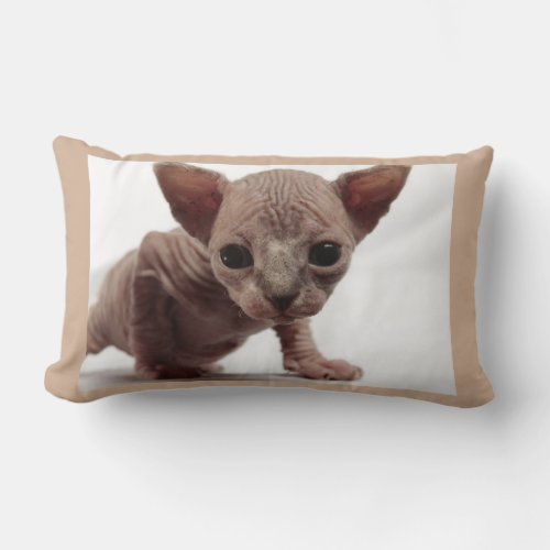 Freaky Cute Furless Sphynx Kitten Lumbar Pillow