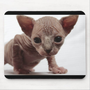 Freaky Cute Furless Sphynx Kitten Mouse Pad