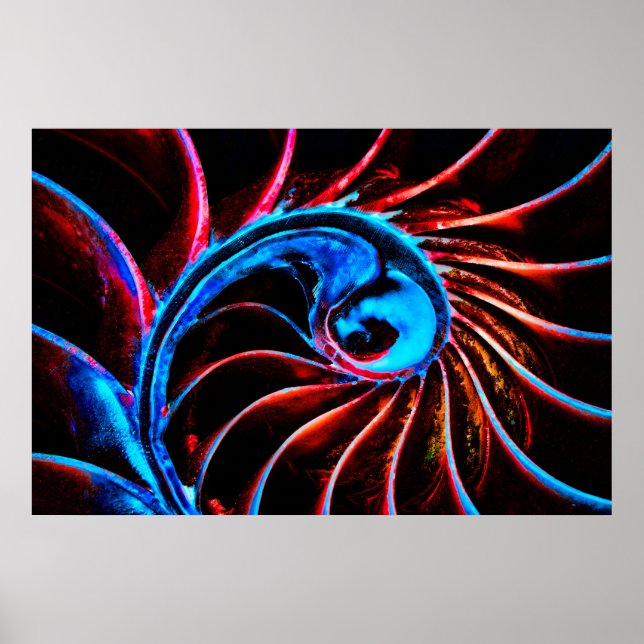 Freaky Nautilus Poster (Front)