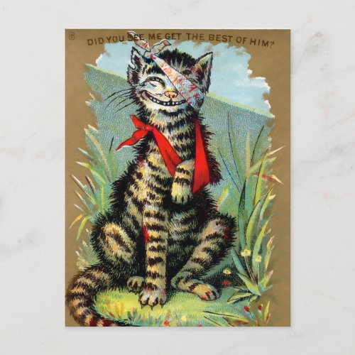 Frears Cat Trade Card 6 of 6