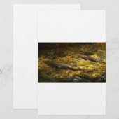 Freash water Trout. (Front/Back)