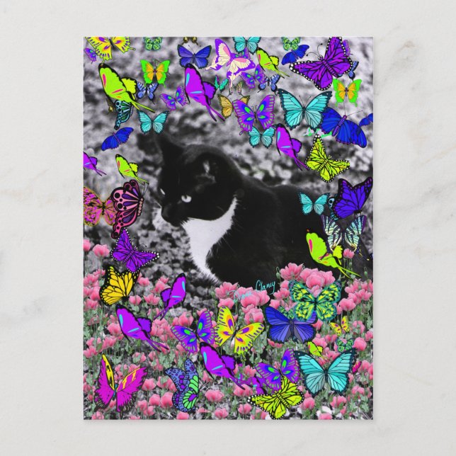 Freckles in Butterflies II - Tux Kitty Cat Postcard (Front)