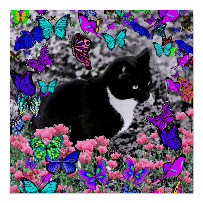 Freckles in Butterflies III, Tux Kitty Cat Perfect Poster Freckles in Butterflies III, Tux Kitty Cat Perfect Poster