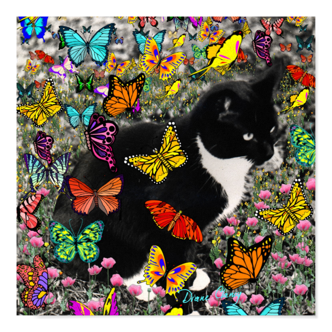 Freckles in Butterflies - Tuxedo Kitty Poster Freckles in Butterflies - Tuxedo Kitty Poster