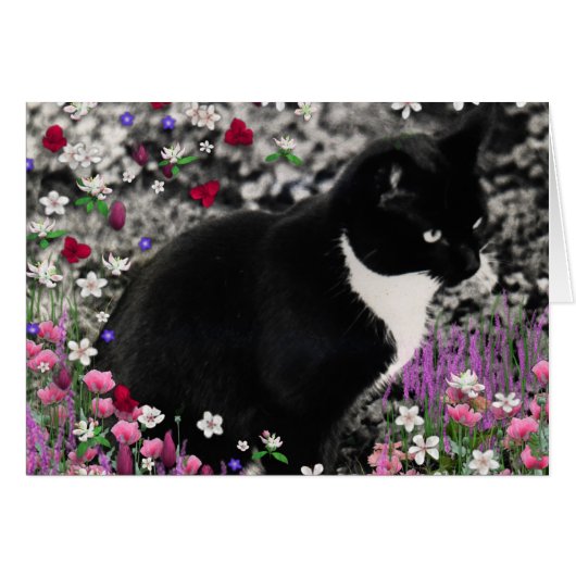 Freckles in Flowers II - Tuxedo Cat Cards (Front Horizontal)