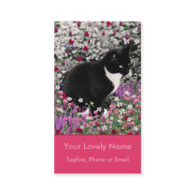 Freckles in Flowers II - Tuxedo Kitty Cat