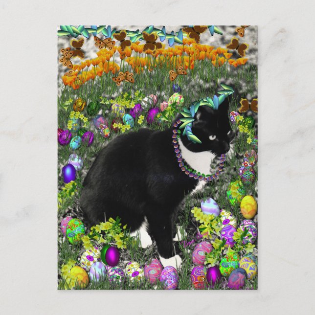 Freckles in the Hunt for Easter Eggs Holiday Postcard (Front)