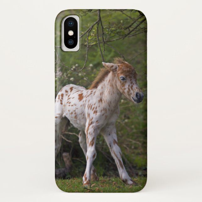 Freckles iPhone X Case (Back)