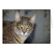 Fred (Front Horizontal)