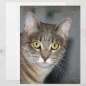 Fred (Front/Back)