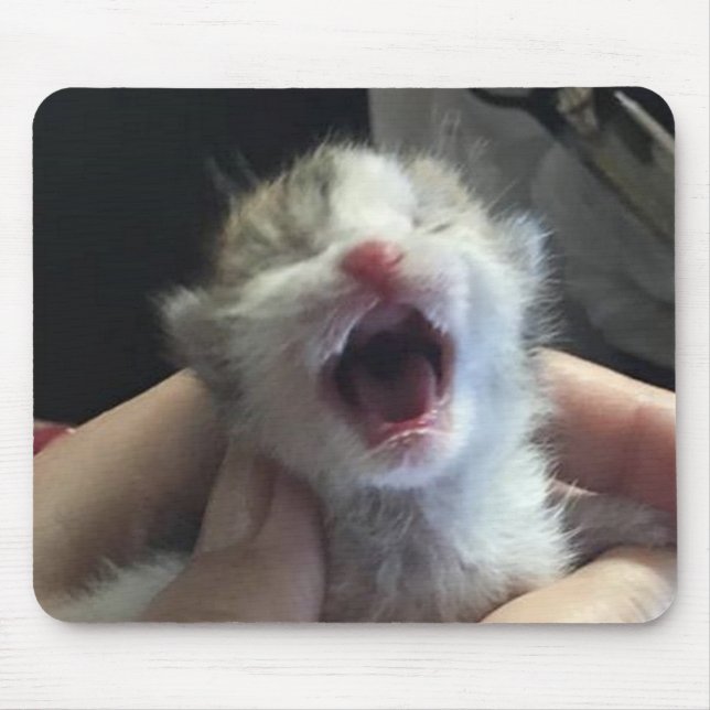 Freddie Mouse Pad (Front)