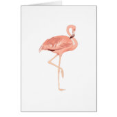 Freddy Flamingo (Front)