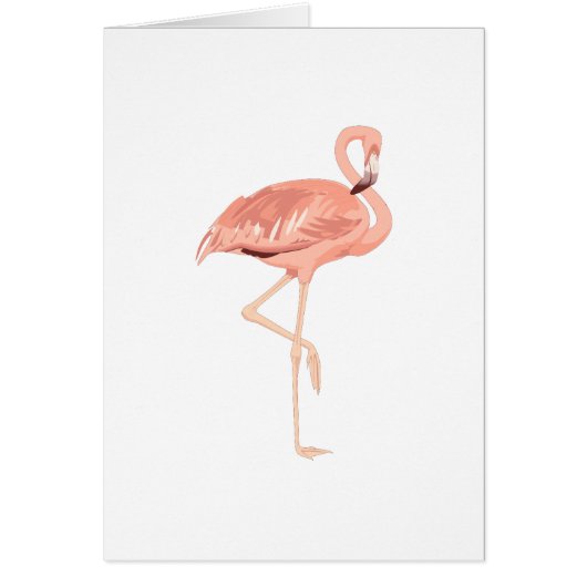 Freddy Flamingo Cards (Front)