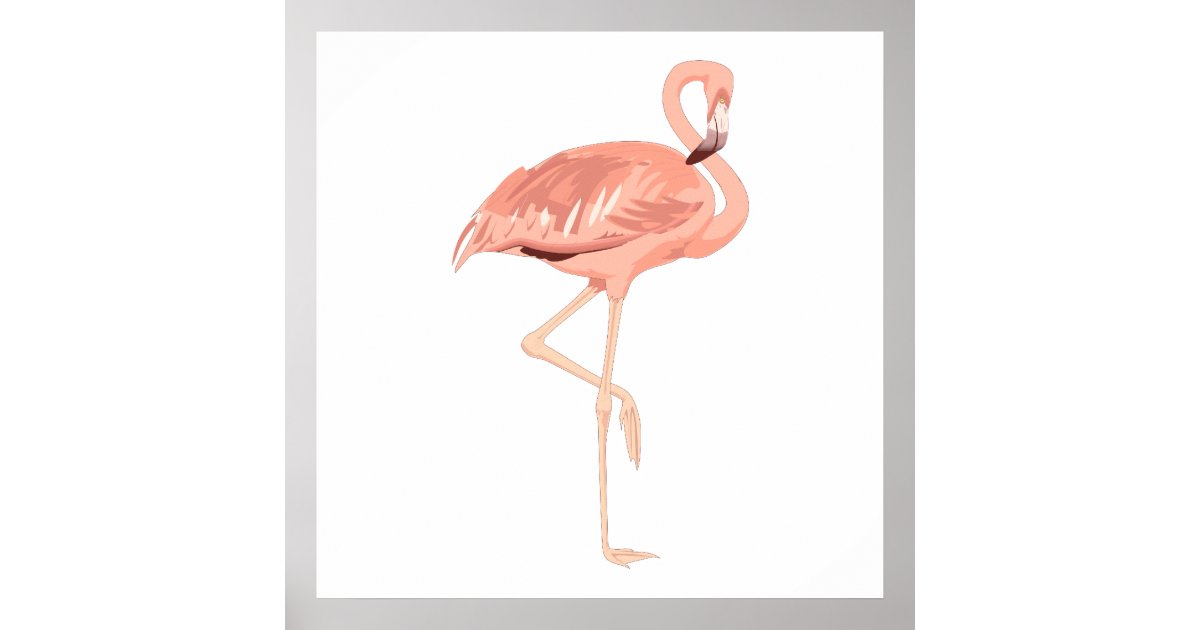 Freddy Flamingo Poster | Zazzle