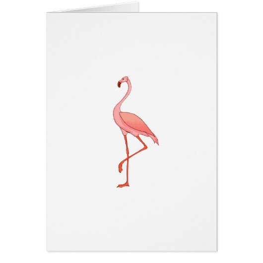 Frederick Flamingo (Front)