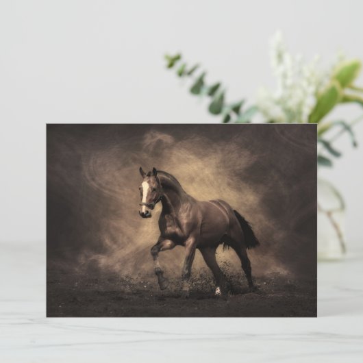 Free (Standing Front)