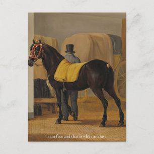 free and lost poster postcard