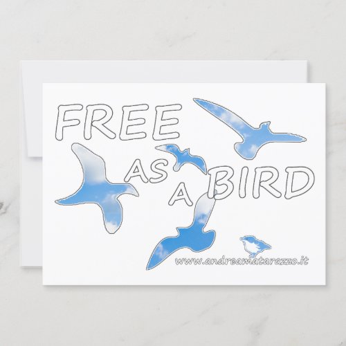 Free as a Bird   Card