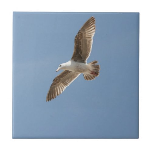 Free as a Bird Flying Seagull Ceramic Tile