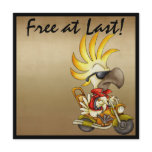 Free at Last Biker - SRF Invitation Free at Last Biker - SRF Invitation