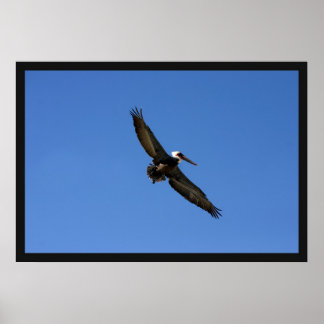 Free Bird Posters, Free Bird Prints, Art Prints, Poster Designs