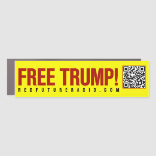 FREE DONALD TRUMP! car magnet
