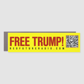 FREE DONALD TRUMP! car magnet