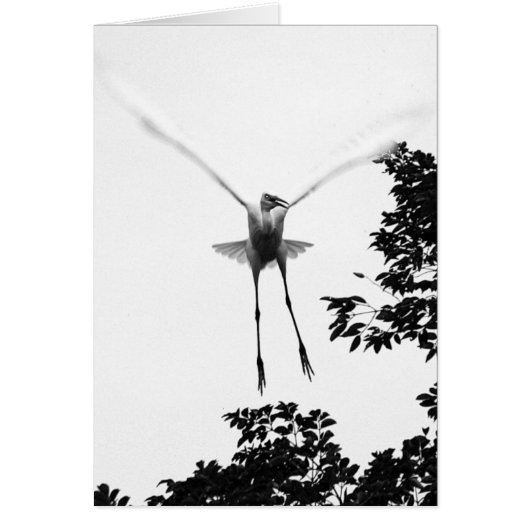 Free Fall Cards (Front)
