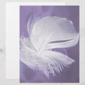 Free Falling feather on purple background (Front/Back)