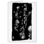 Free-floating Aberrations, (Front)