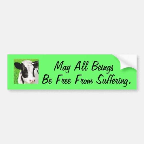 Free From Suffering Bumper Sticker