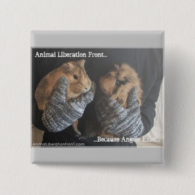 Free Guinea Pigs Pinback Button (Front)