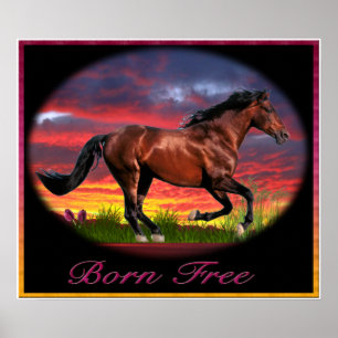 free horse poster art