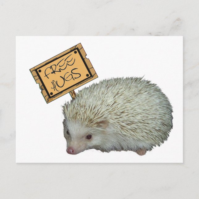 Free Hugs Hedgehog Postcard (Front)