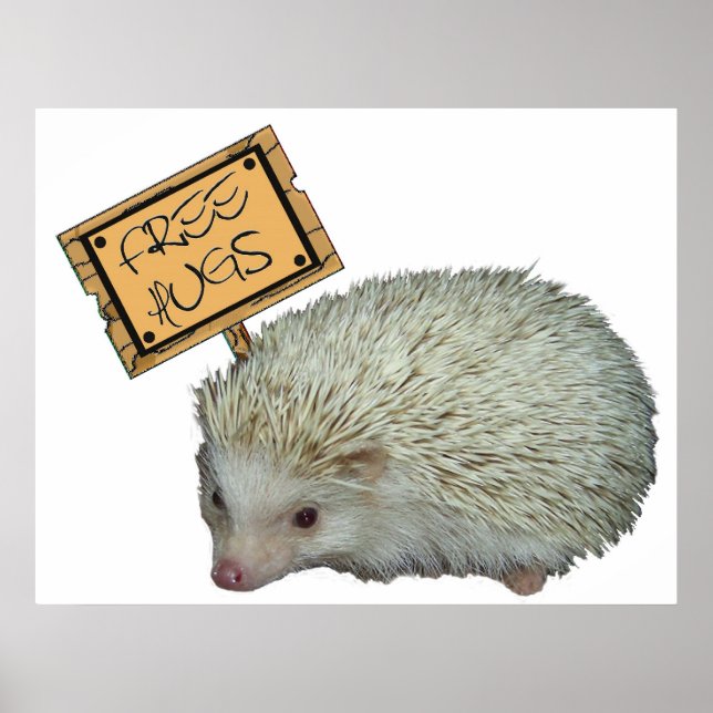 Free Hugs Hedgehog Poster (Front)
