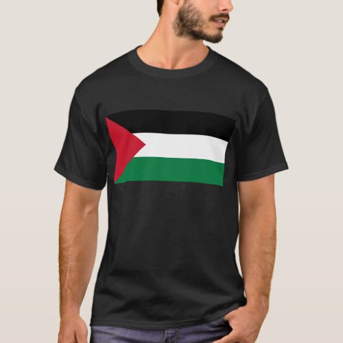 Free Palestine _ Palestinian Flag علم فلسطين T_Shirt