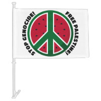 Free Palestine Peace Car Flag