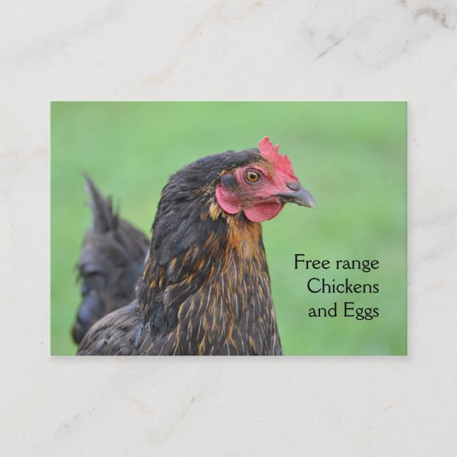 Free range black chicken eggs business card (Front)
