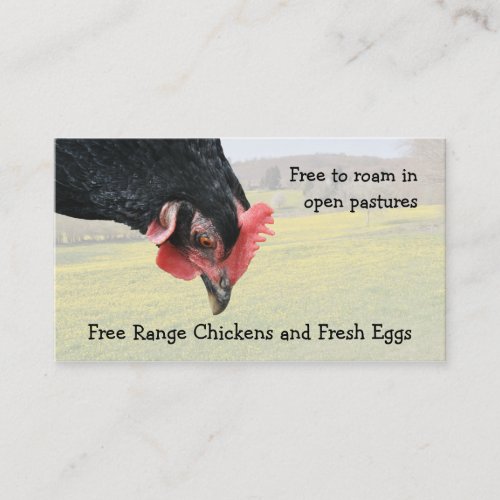 Free range black hen business card