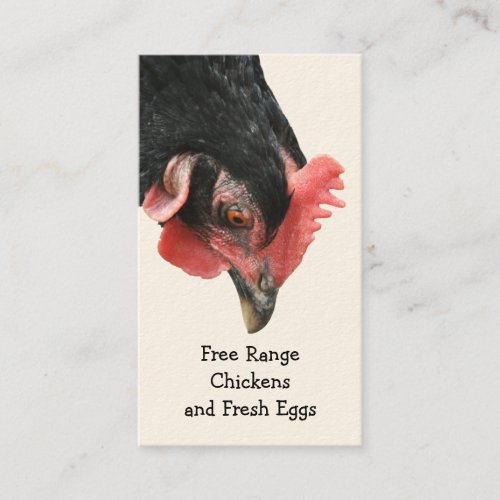 Free range chicken eggs business card