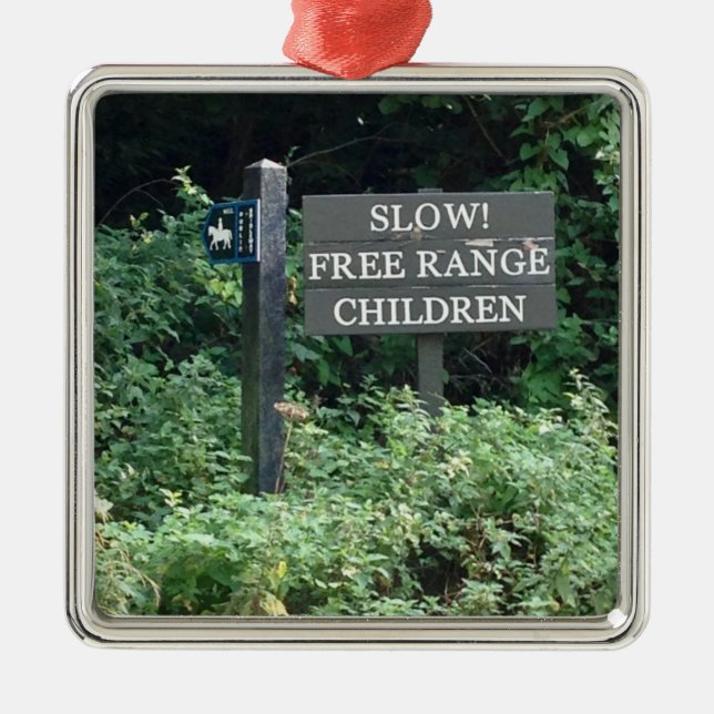 Free Range Children sign, fun Metal Ornament (Front)