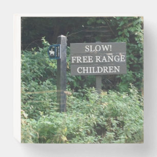 Free Range Children sign, fun Wooden Box Sign