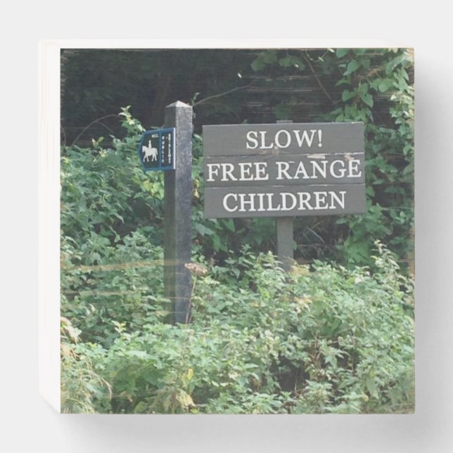 Free Range Children sign, fun Wooden Box Sign (Front Horizontal)