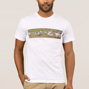 Free Range Ducks t-shirt