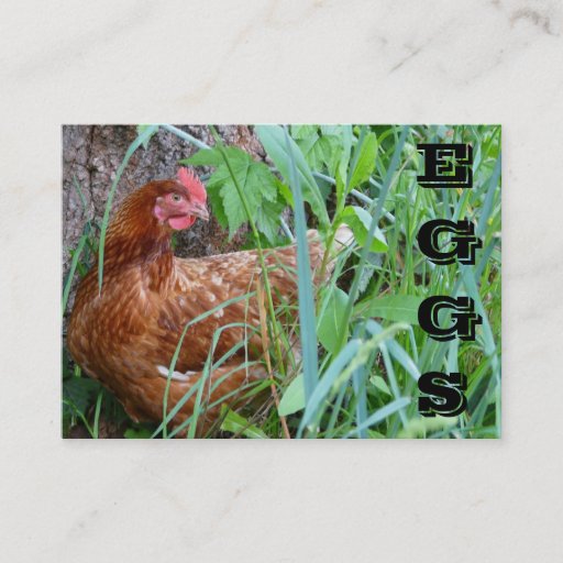 Customizable Free Range EGGS chicken business card